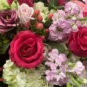 Meet your Posher, Her Paris Dream